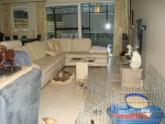 chihuahua-lovers